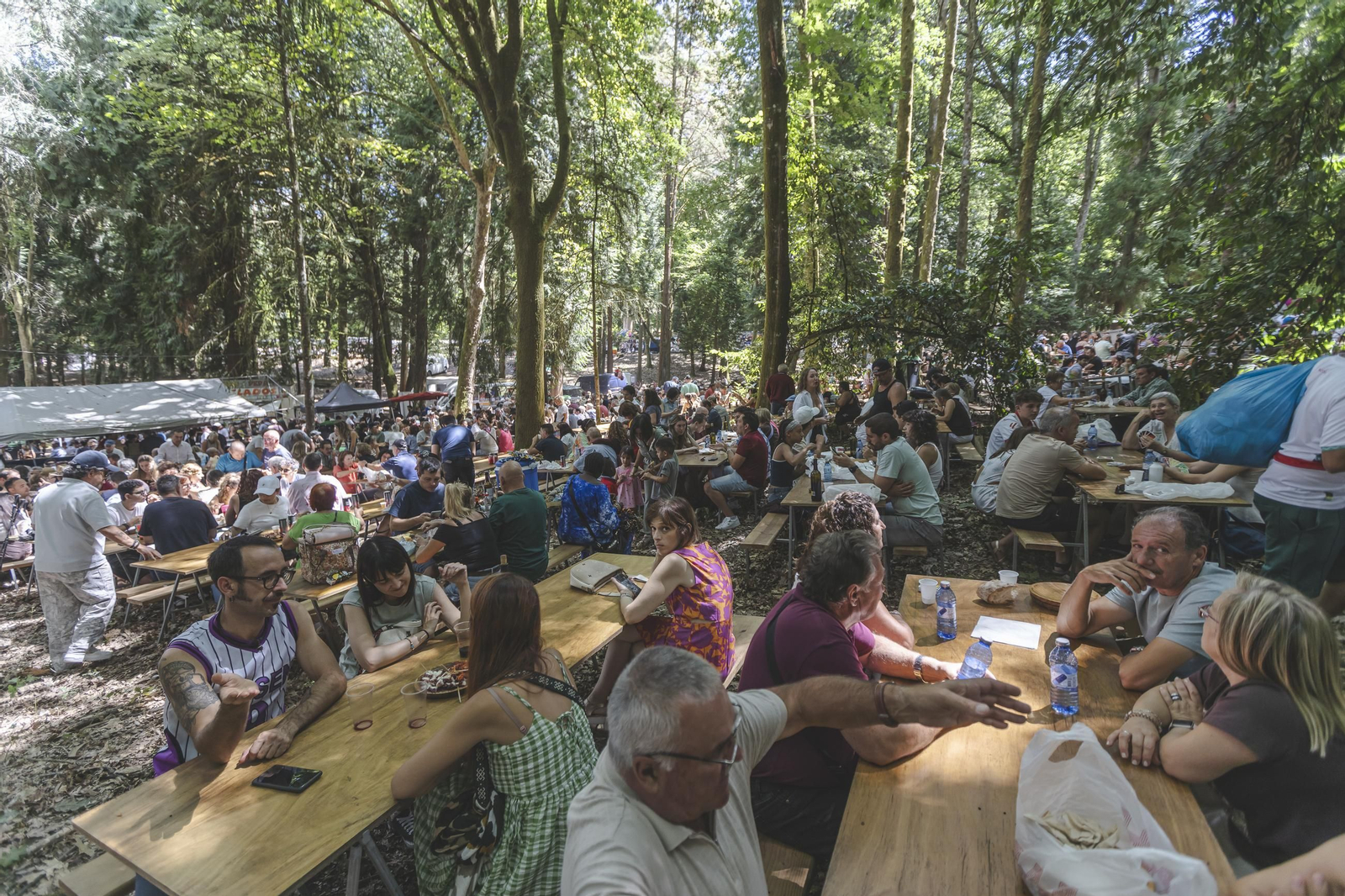 Galería | O Carballiño vuelve a disfrutar un año más de la Festa do Pulpo