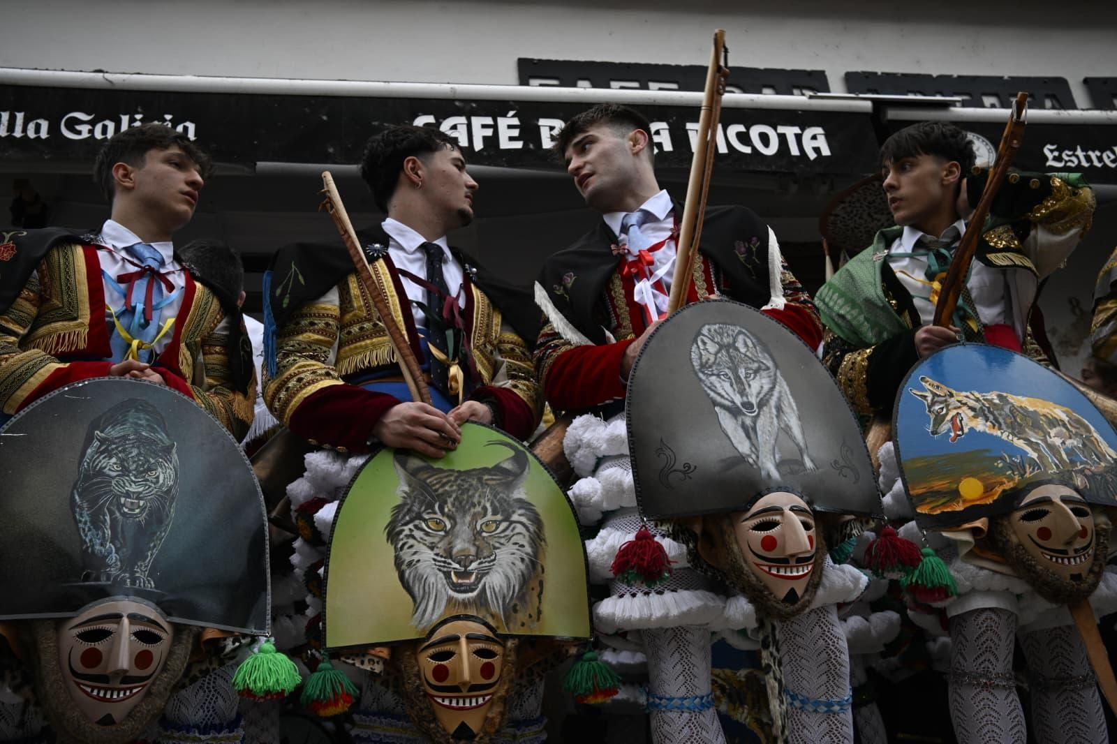 WhatsApp Image 2026-02-17 at 19.22.06