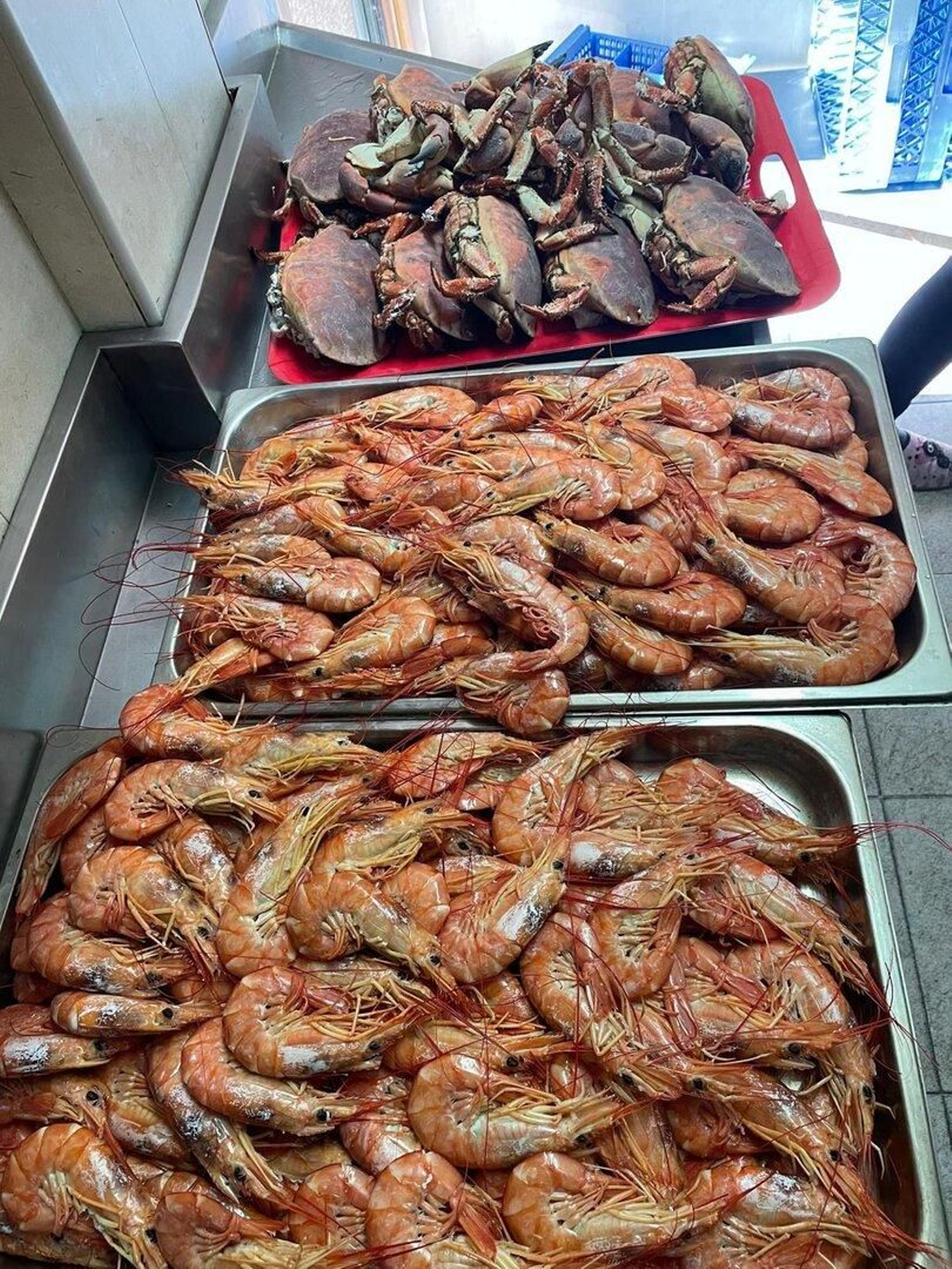 El marisco, uno de los productos más codiciados en estas fechas.