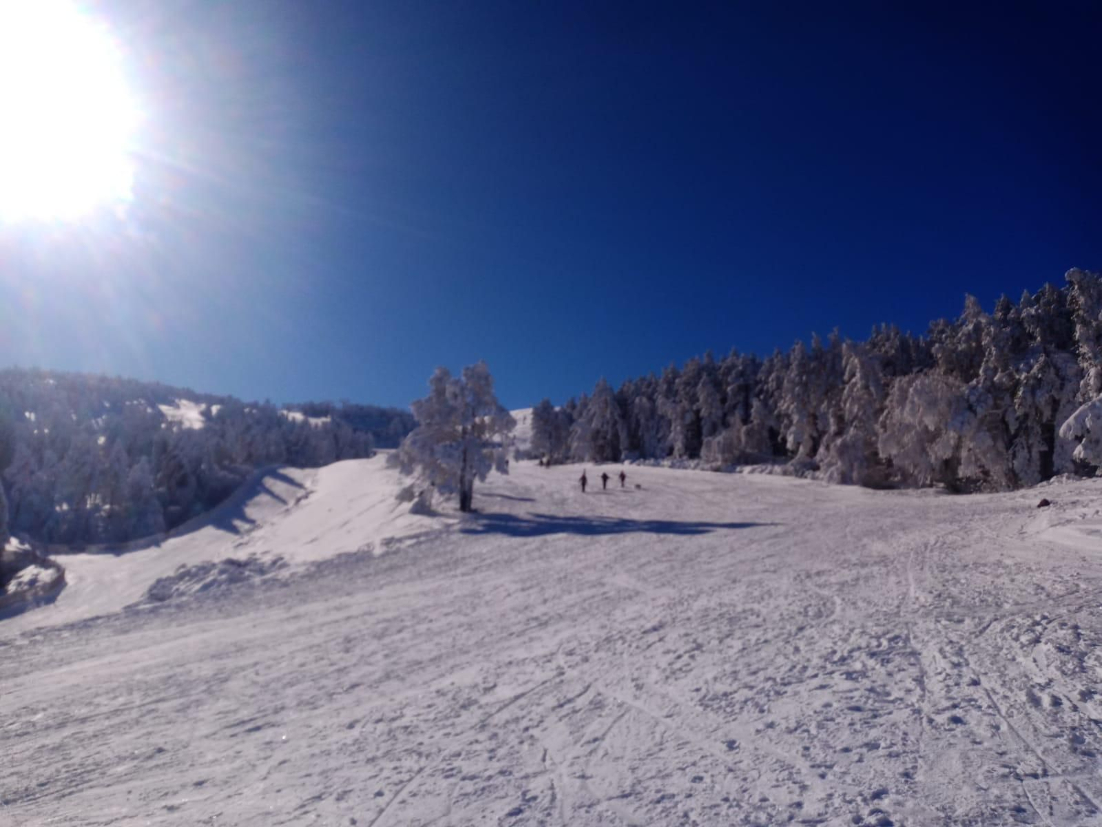 Manzaneda hoy, nevada.