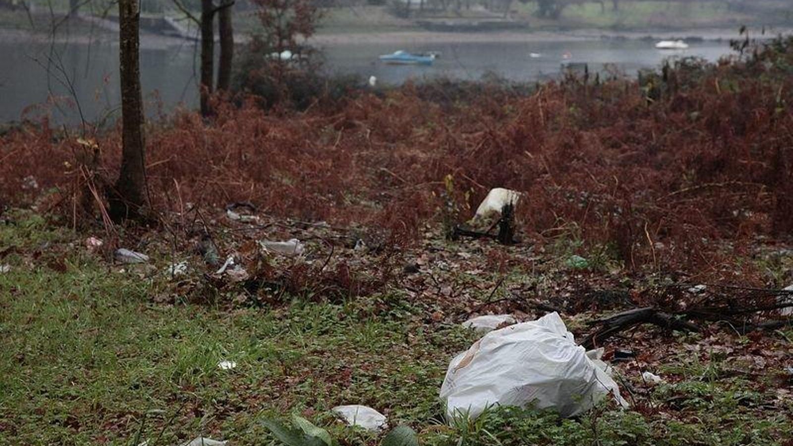 ma_2020_01_28_10904_resultado