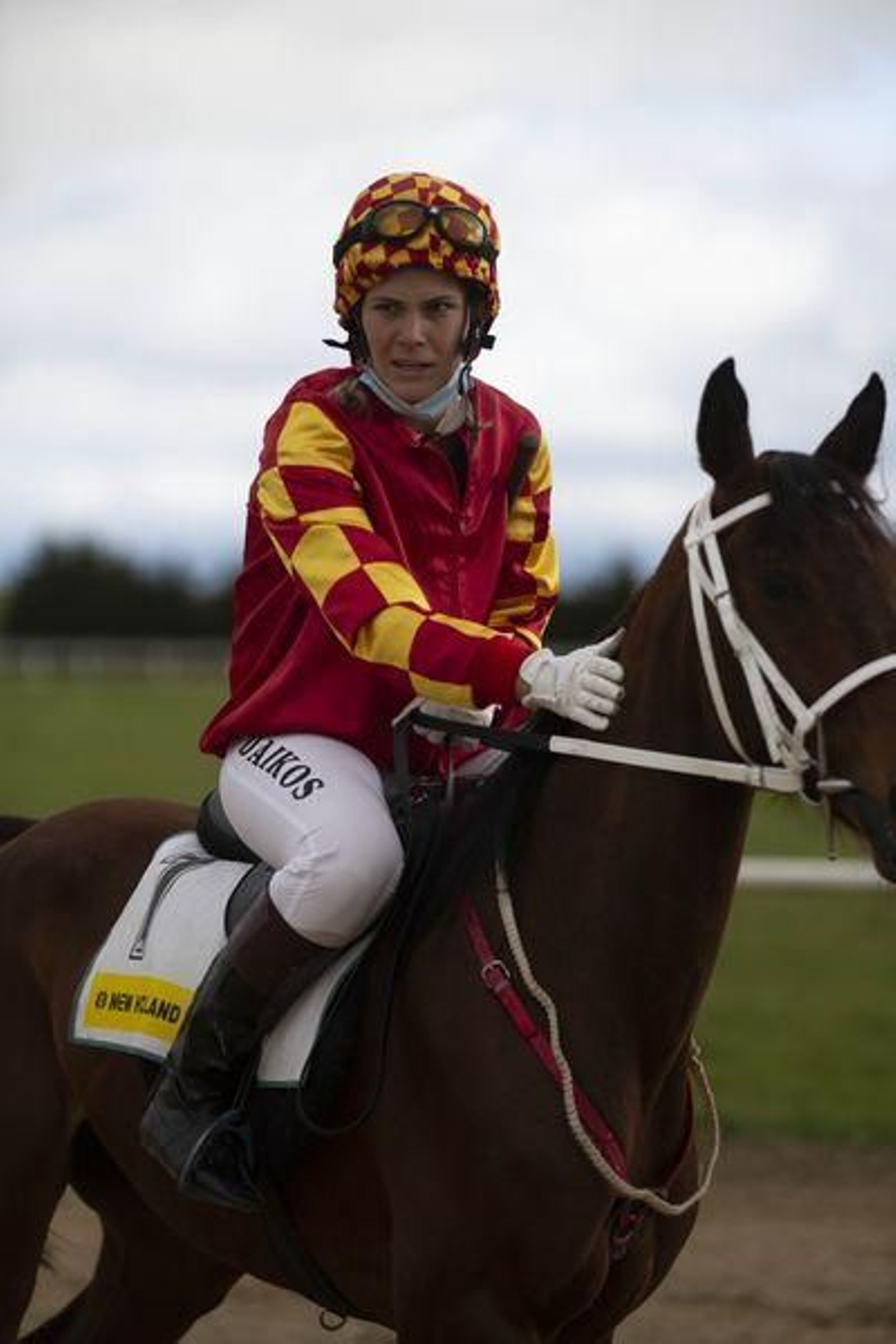 El hipódromo de Antela acogió la Copa Deputación de Hípica en modalidad de velocidad y trote en el hipódromo de Antela (Fotos: Xesús Fariñas)