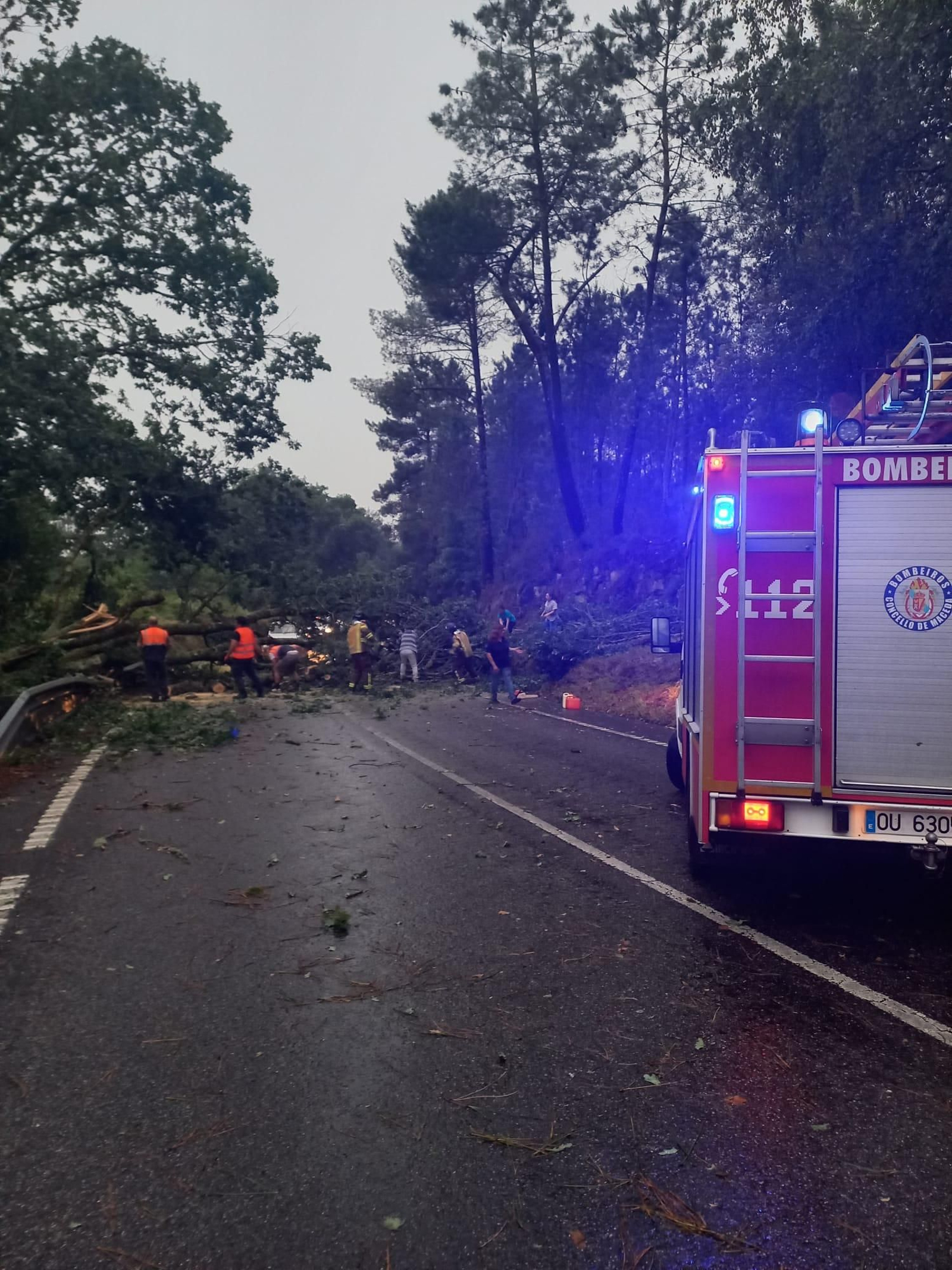 Caída de árboles en Esgos