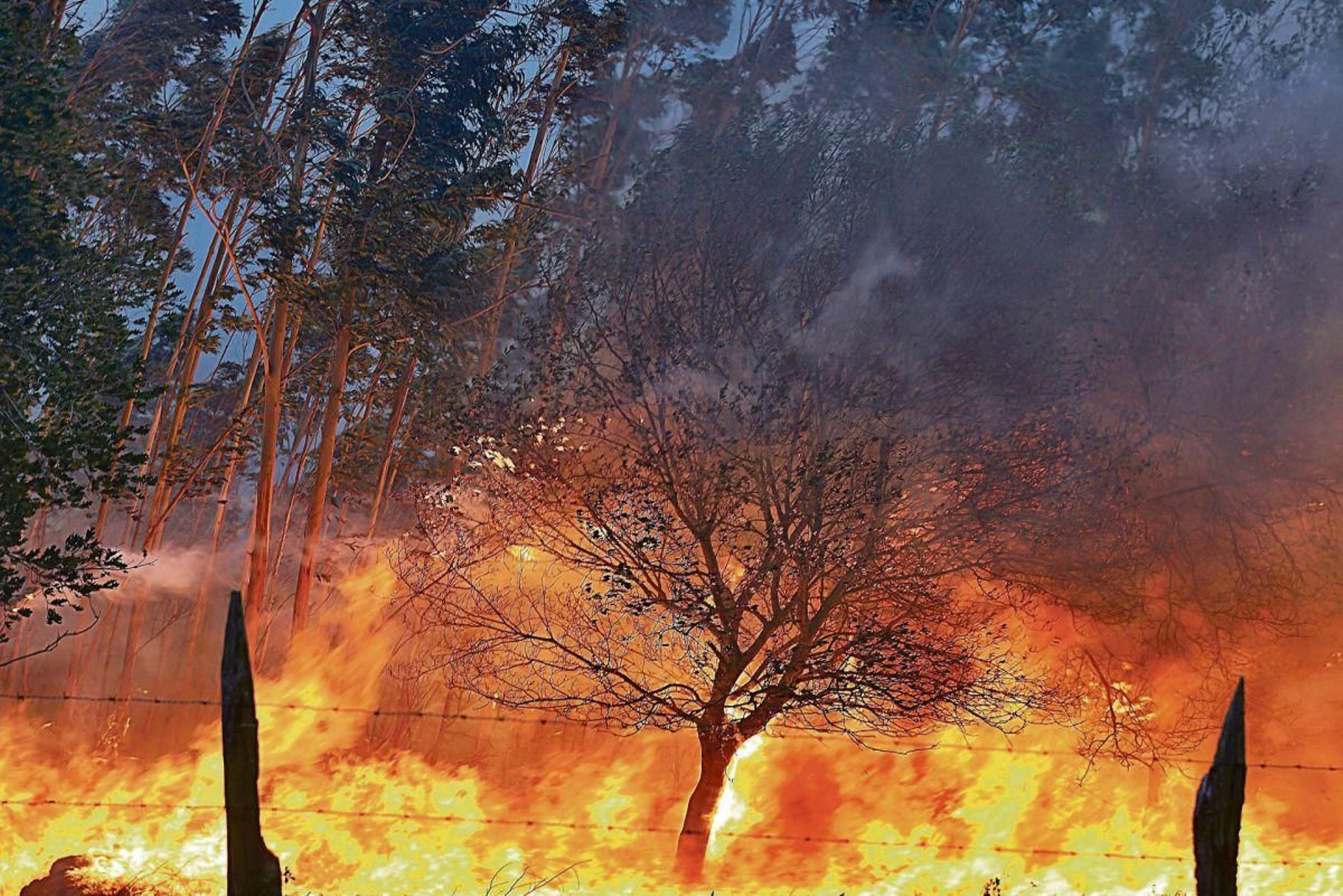 Uno de los incendios forestales que tuvo lugar el pasado verano en Cantabria.