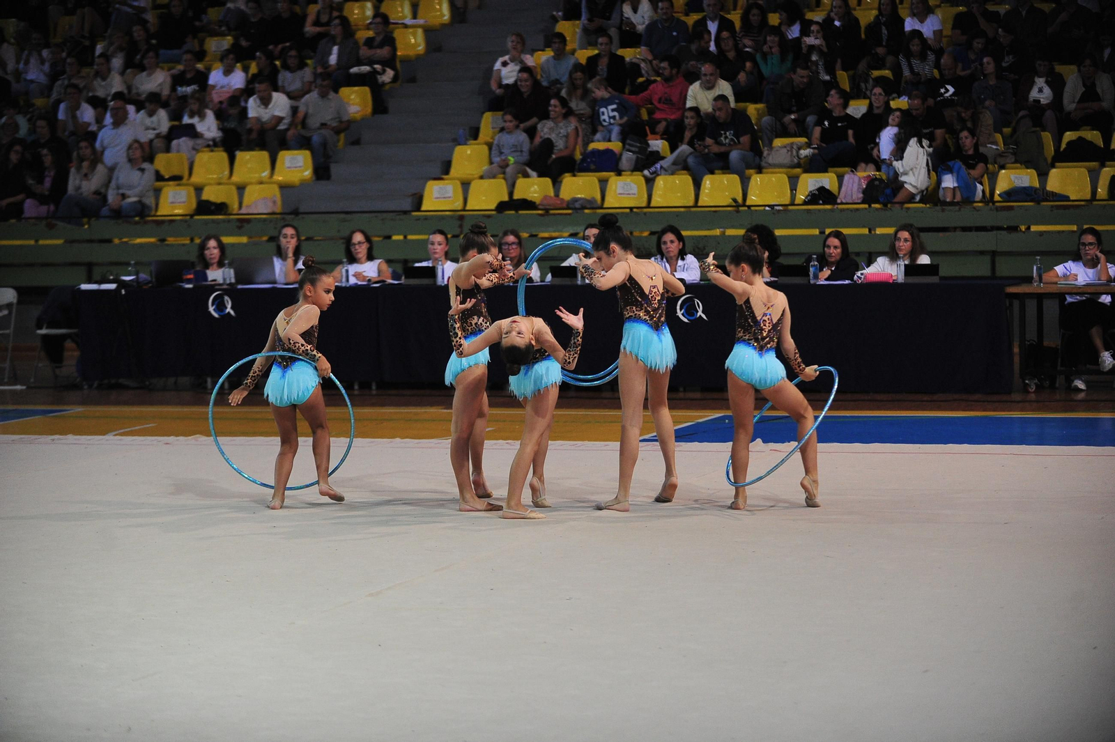 Las artistas del tapiz volvieron a brillar en el Campeonato Base de Gimnasia