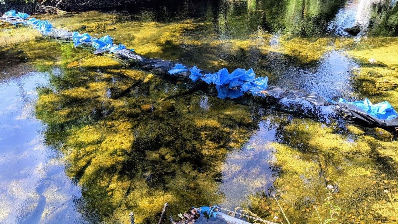 La línea de sacos colocada en el río Verdugo a su paso por Ponte Caldelas.