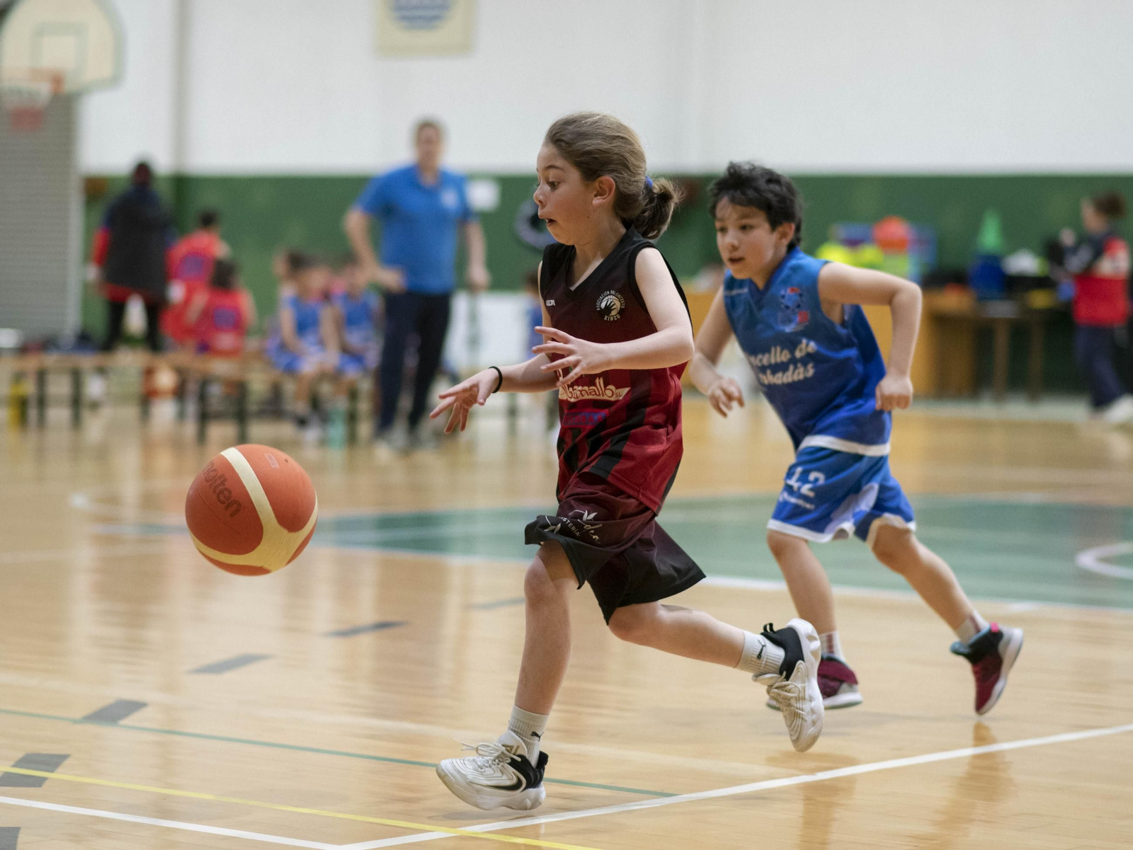 Galería | Concentración de Minibasket en Verín