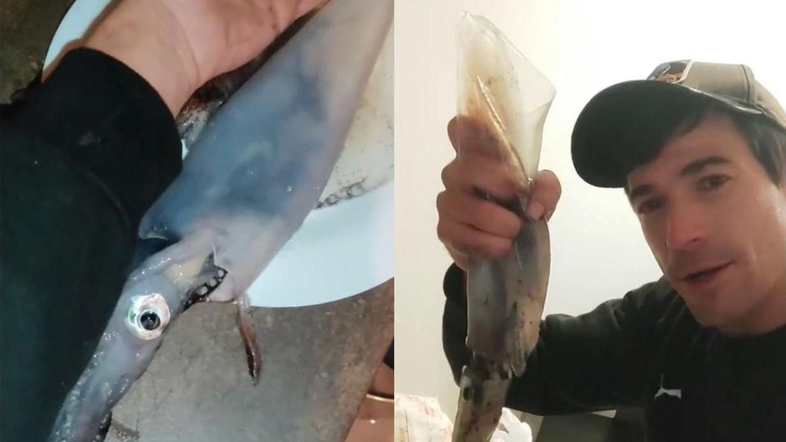 juanjo ballesta calamar vigo