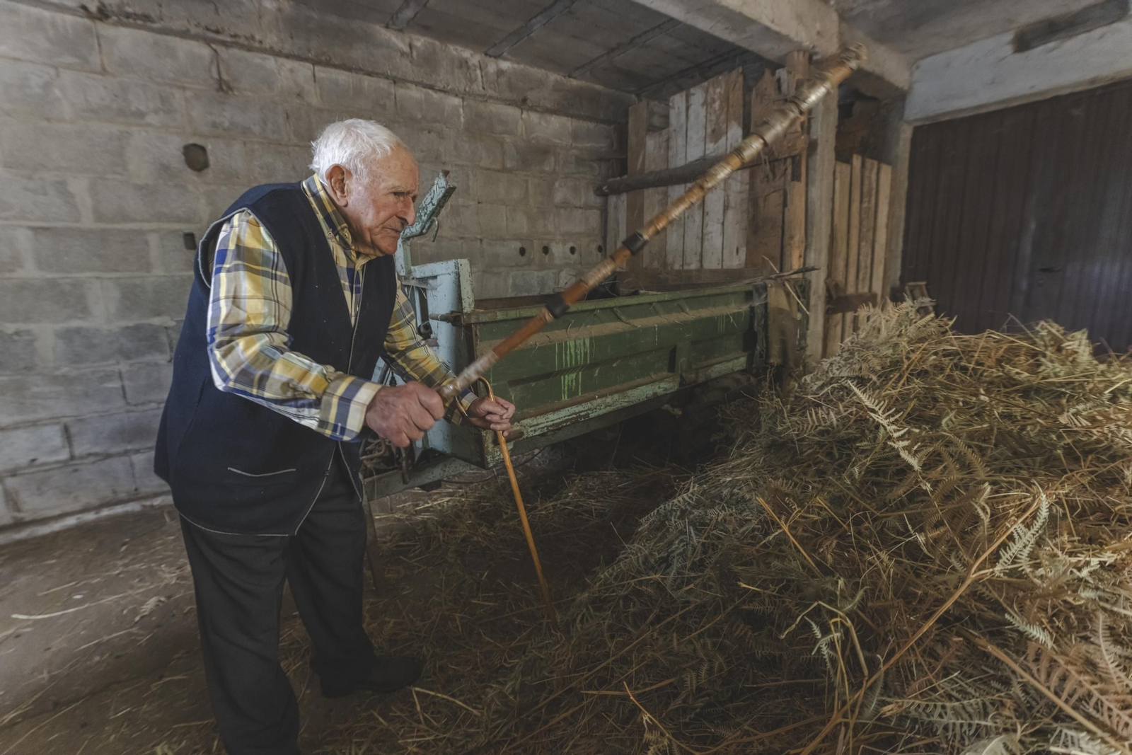 Galería | Así es la vida del centenario más longevo de Ourense, Eustaquio Pérez