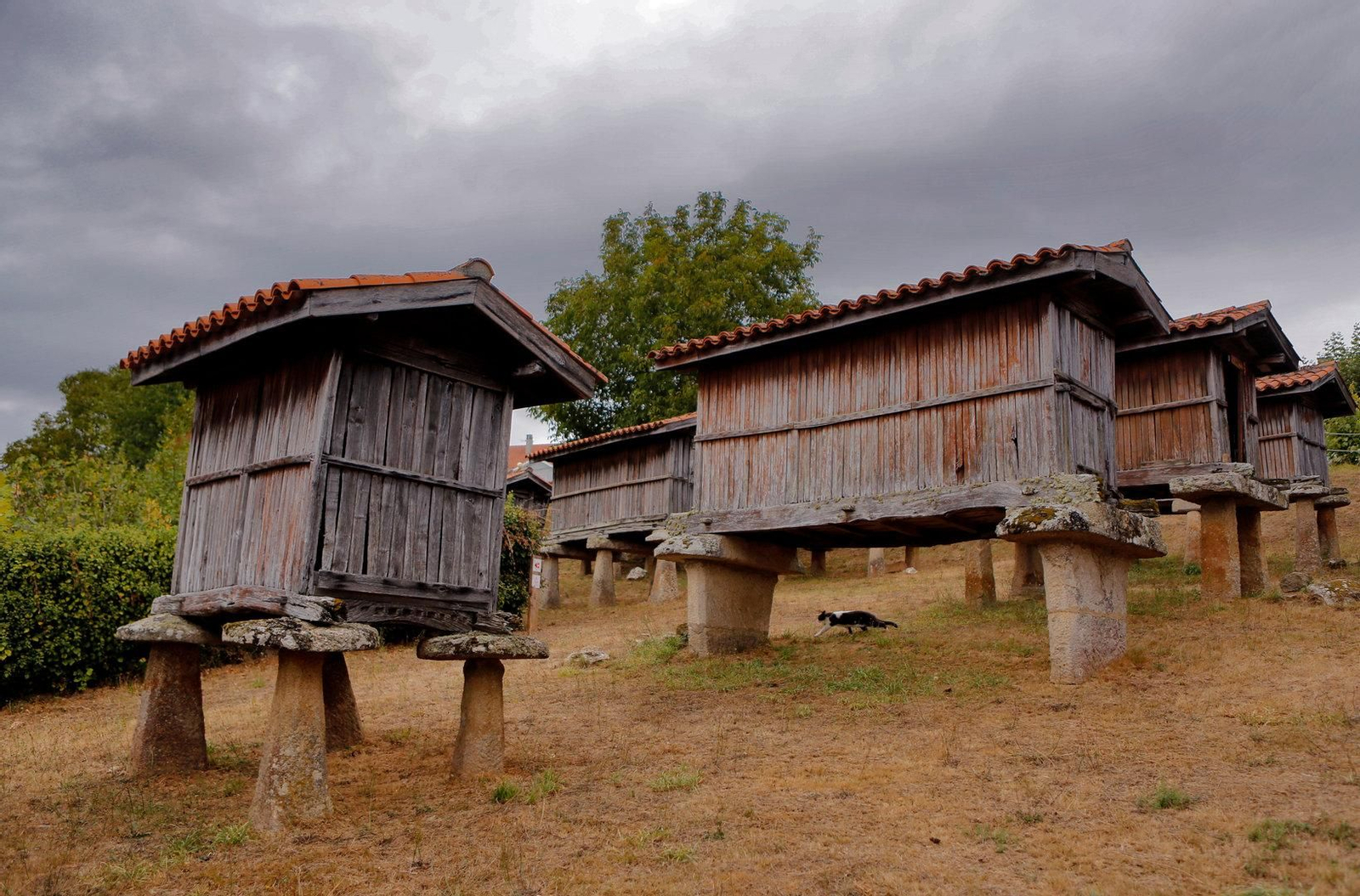 Tesoros de Ourense | Historia y naturaleza se alían en A Merca