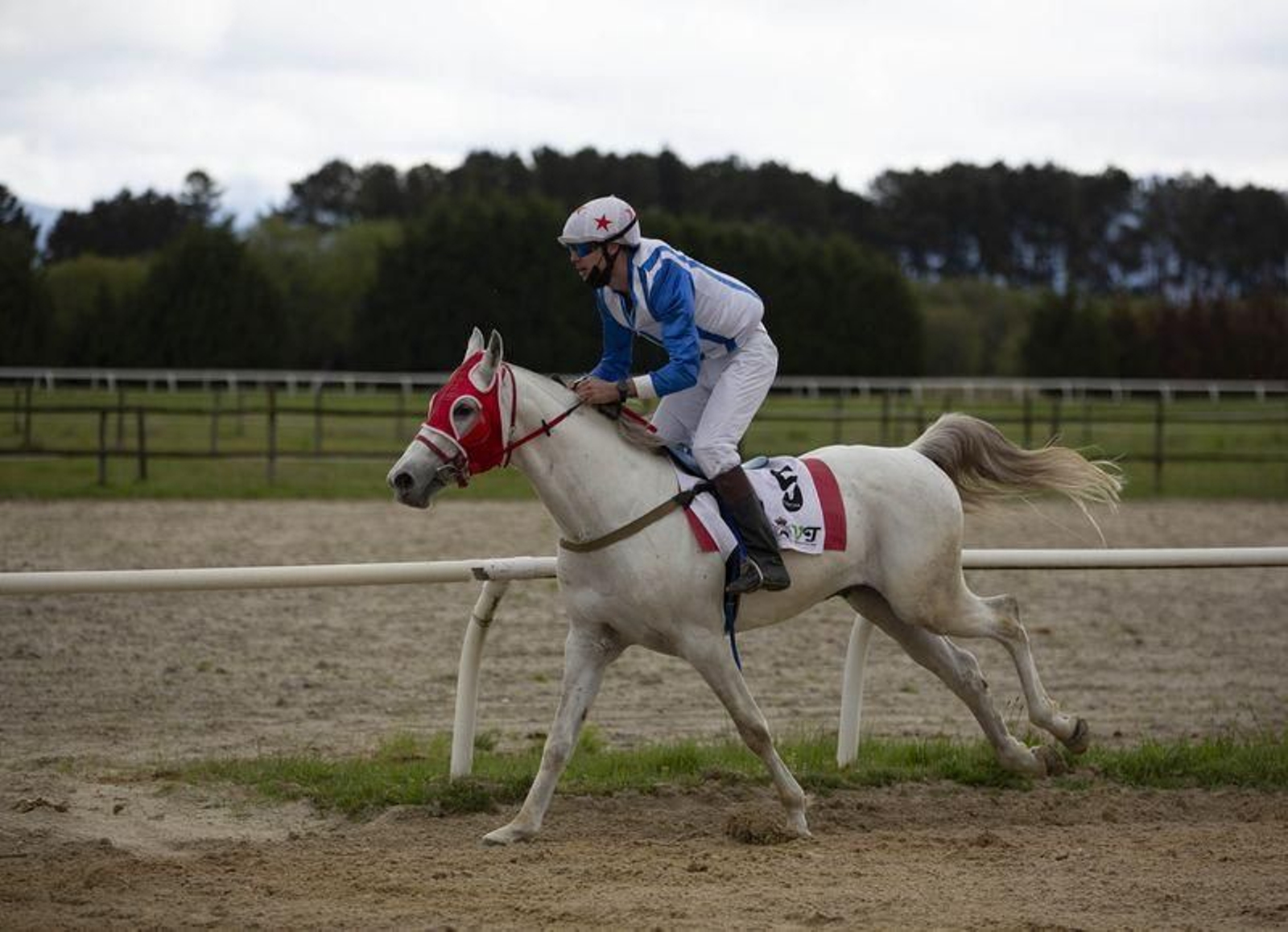 El hipódromo de Antela acogió la Copa Deputación de Hípica en modalidad de velocidad y trote en el hipódromo de Antela (Fotos: Xesús Fariñas)