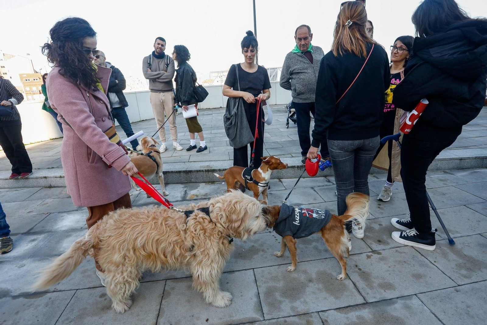 Manifestación en Vigo por los derechos de los animales.