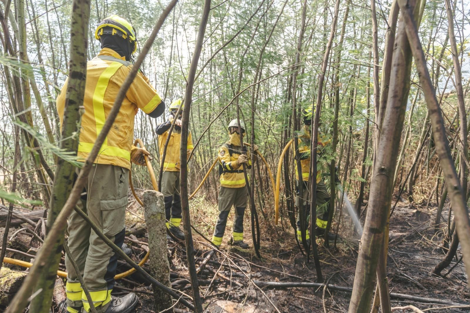 Galería | Los bomberos búlgaros trabajan en la extinción del incendio forestal de Untes, en fotos