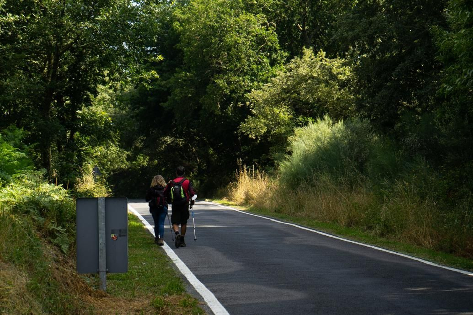 Dos peregrinos camino Ourense. (Foto: Miguel García).