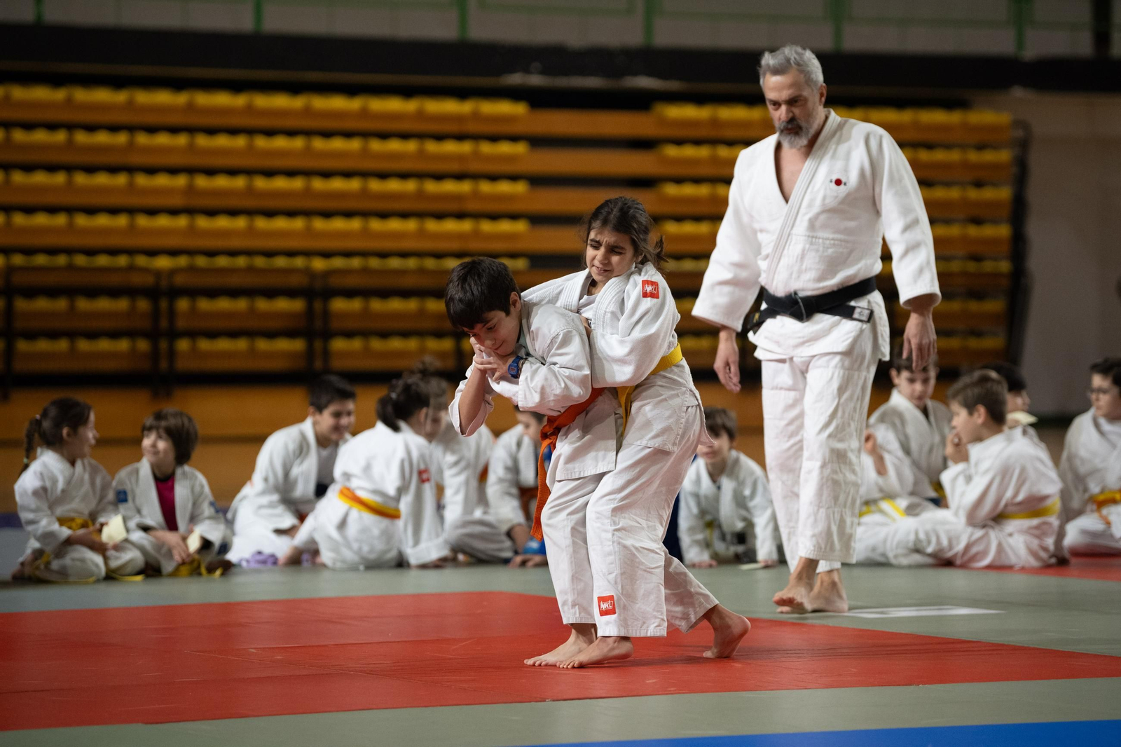 Galería | El judo arranca una edición más de su Copa Diputación