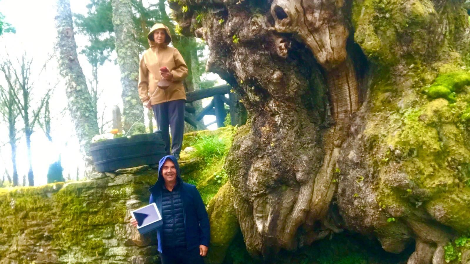 castiñeiro (san xoán de río, trives)_resultado