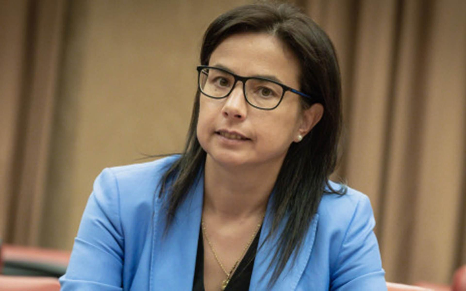 Ana Vázquez diputada del PP y responsable de Emigración del partido