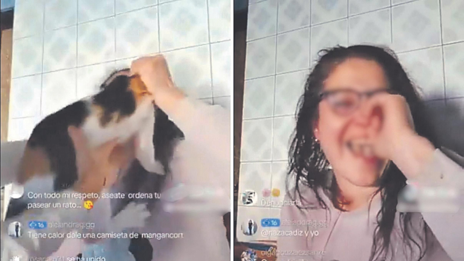 Extractos de los vídeos que difundía la denunciada en redes sociales, en su residencia ubicada en la provincia de Ourense.