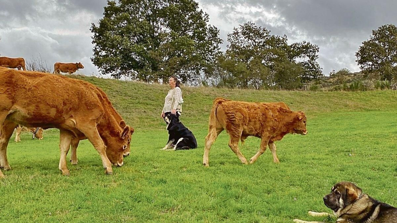 Luisa Martínez con su ganadería en Vozqueimado, Chandrexa de Queixa.