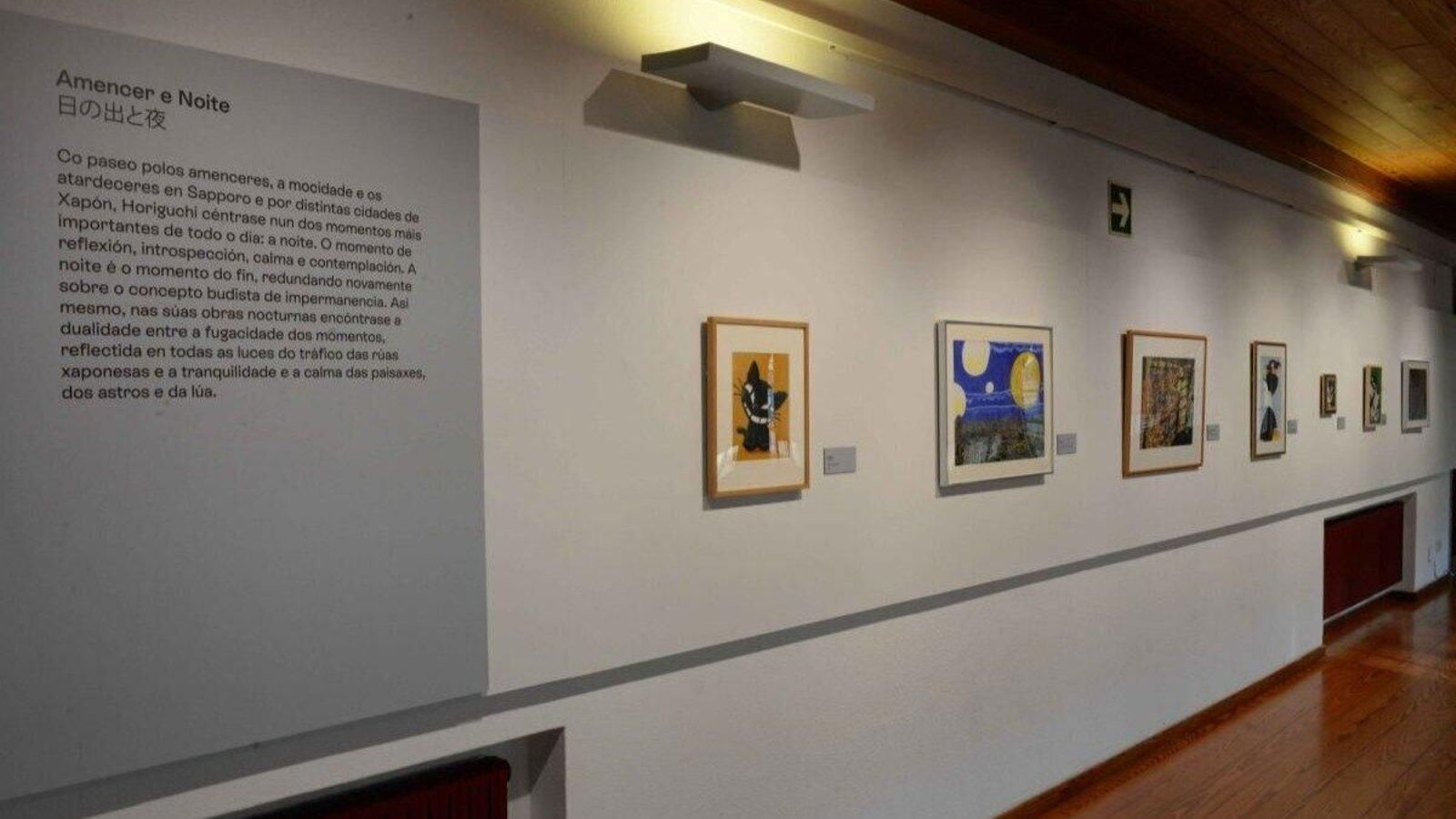 Algunhas das imaxes principais da mostra exposta.