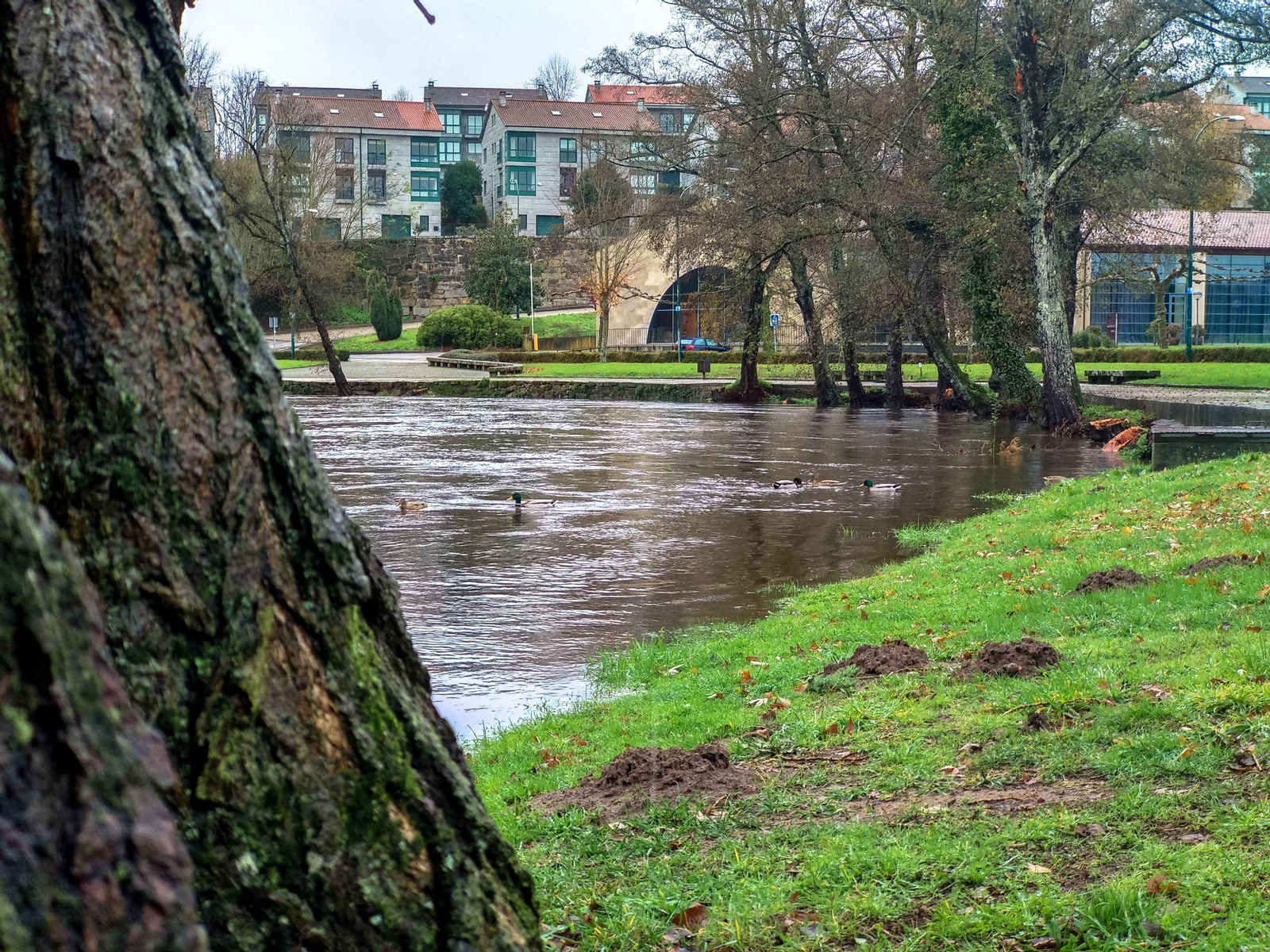 El río Arnoia, a su paso por Allariz