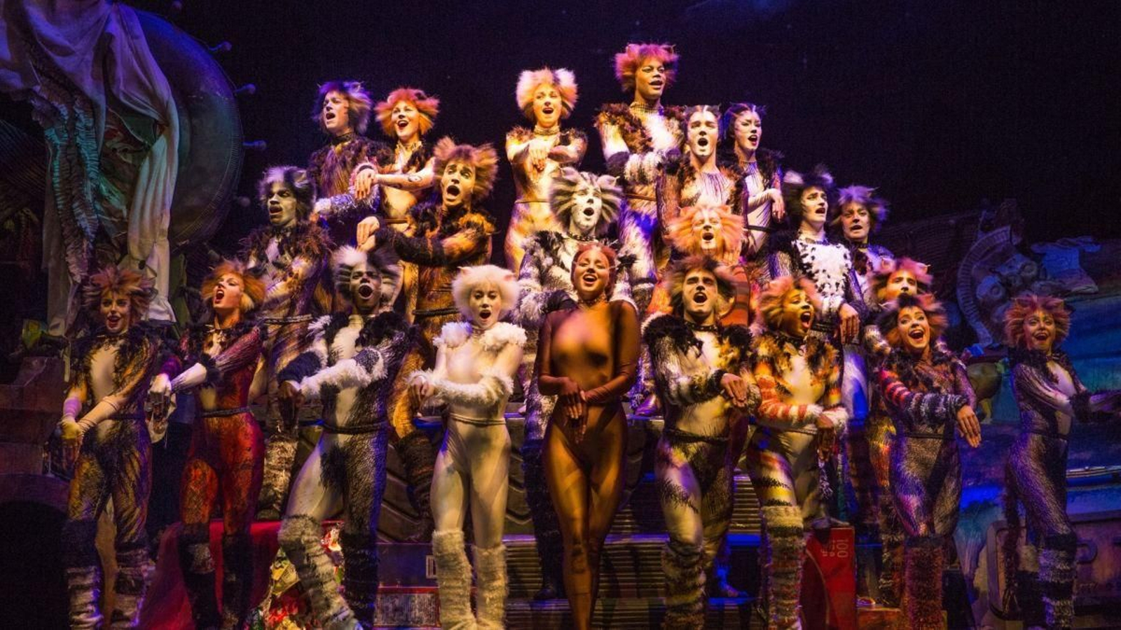 “Cats”