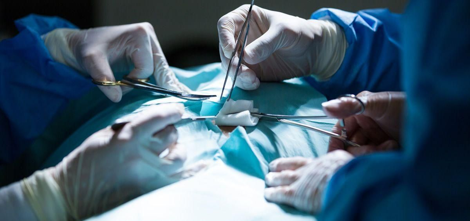 La medicina personalizada llega también al trasplante.