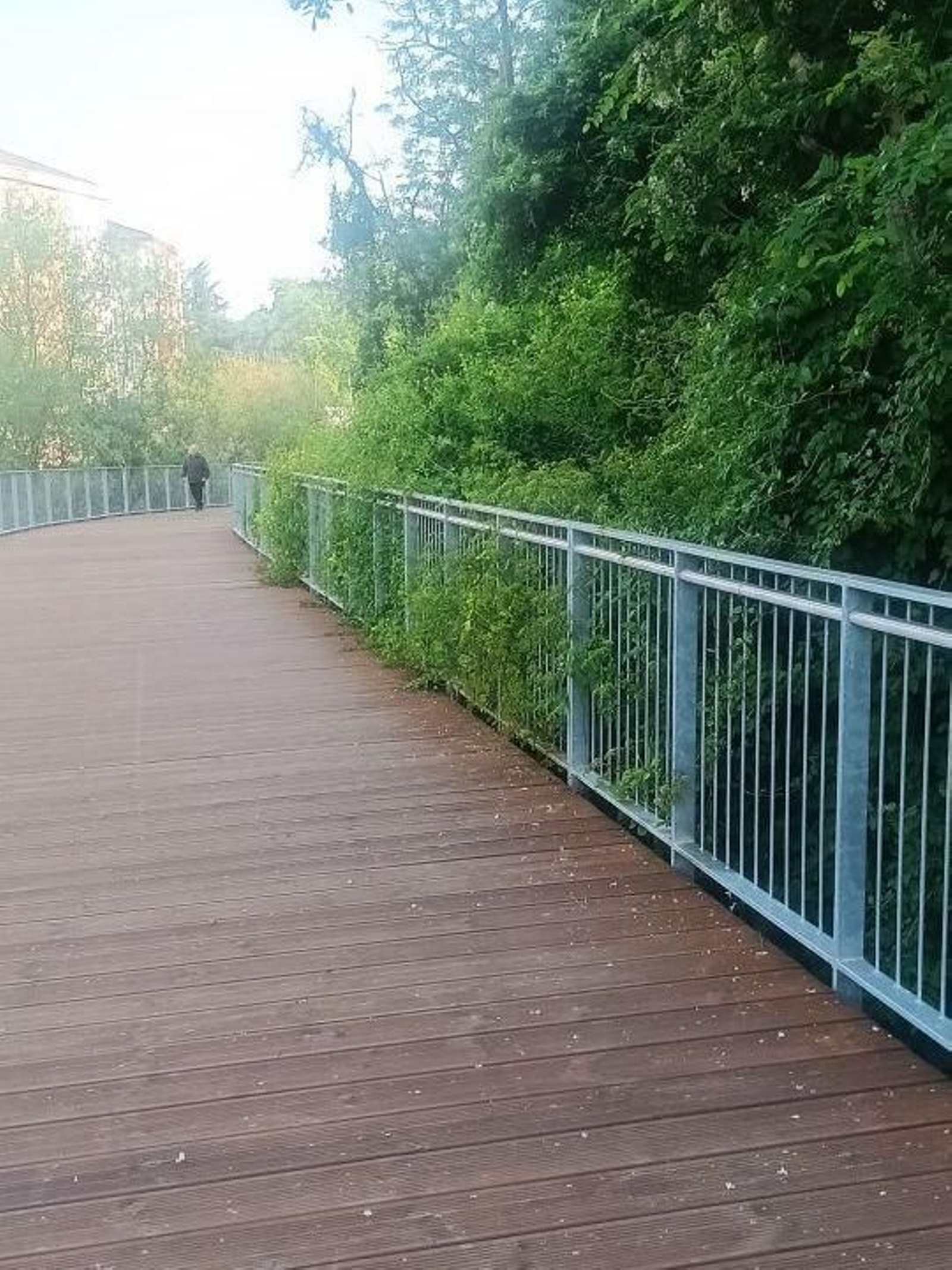 Avance sin control de la naturaleza