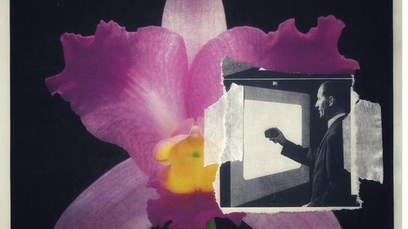Un científico sobre una flor.