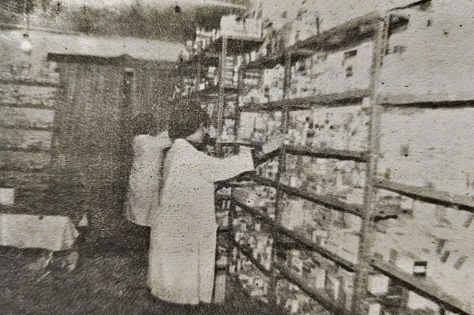 Clasificando medicamentos.