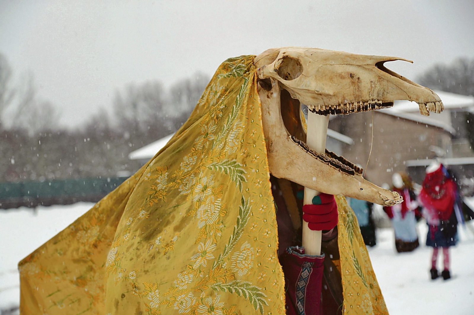 “A Rinchona” dió algún susto a los presentes con sus mordiscos.