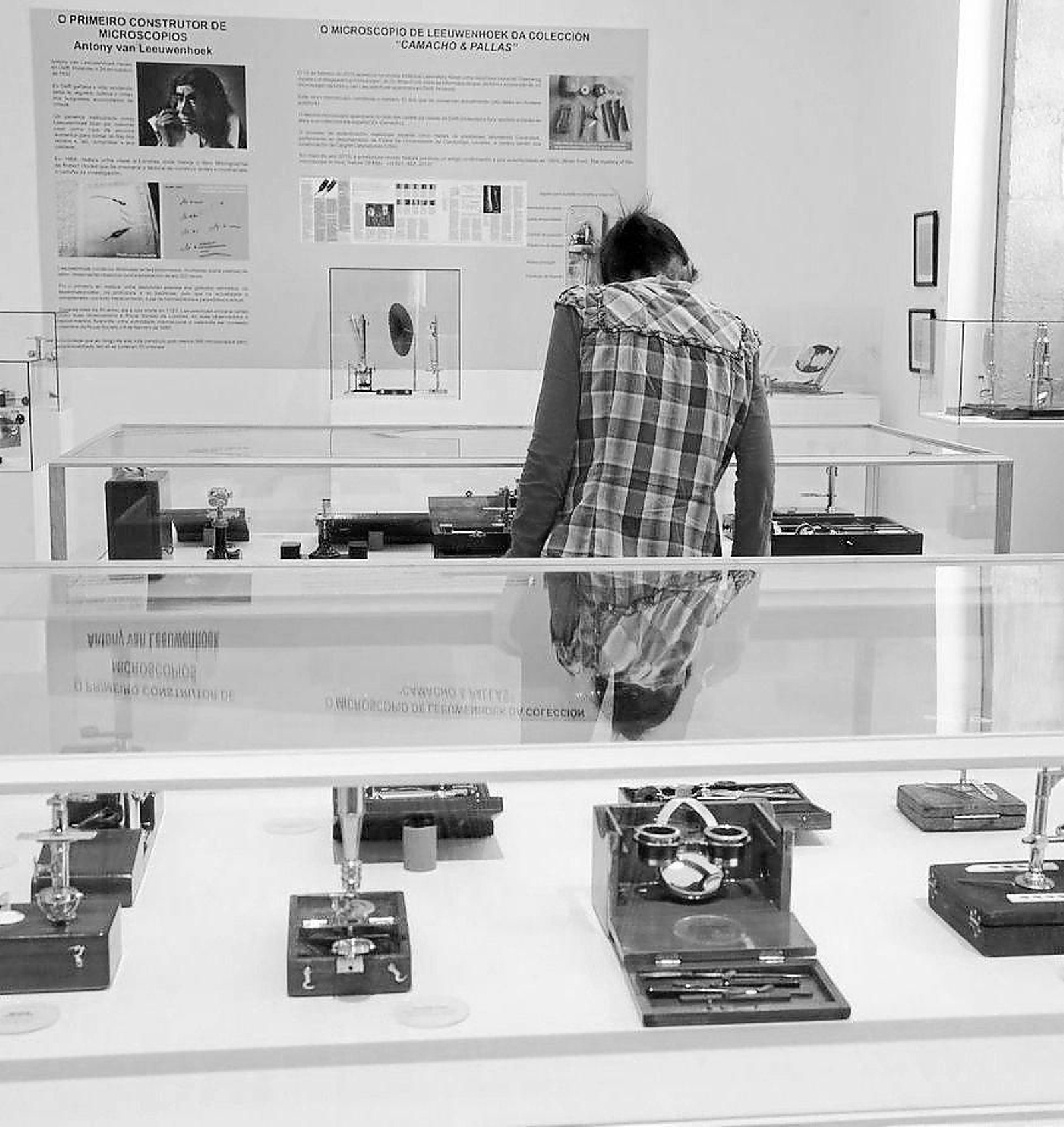 El Marco acoge la exposición que se tituló “La Luz y la Lente” y que hace referencia a la historia del microscopio, uno de los grandes avances de la ciencia.