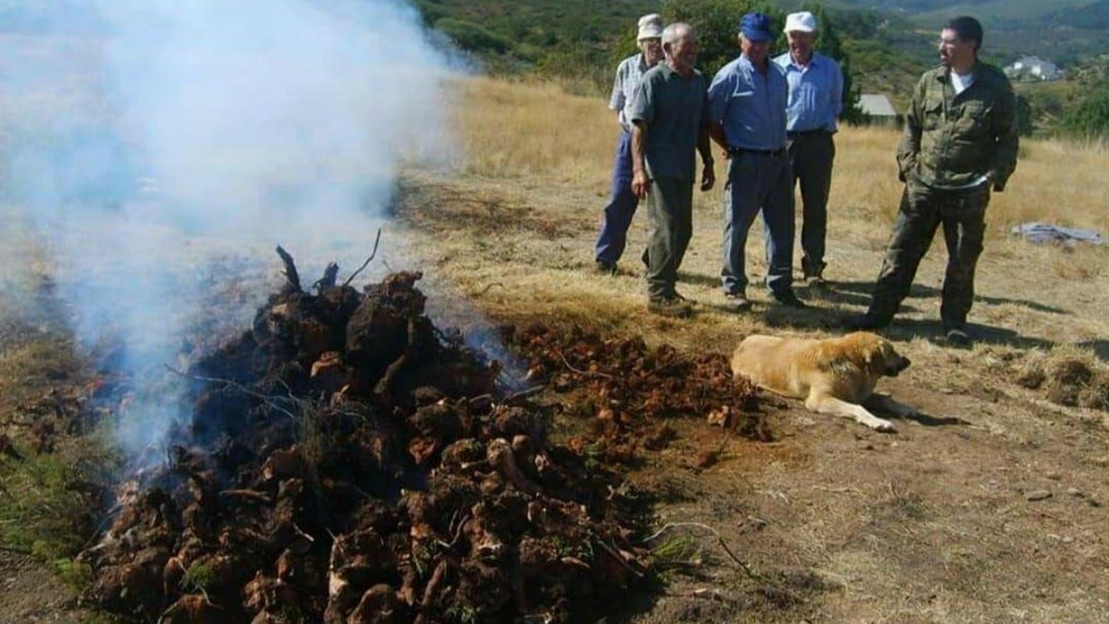 ruta do carboeiro (3)_resultado