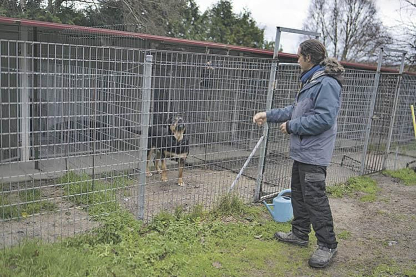 Miguel, en su residencia canina de Do Castelo, Esgos.  XESÚS FARIÑAS