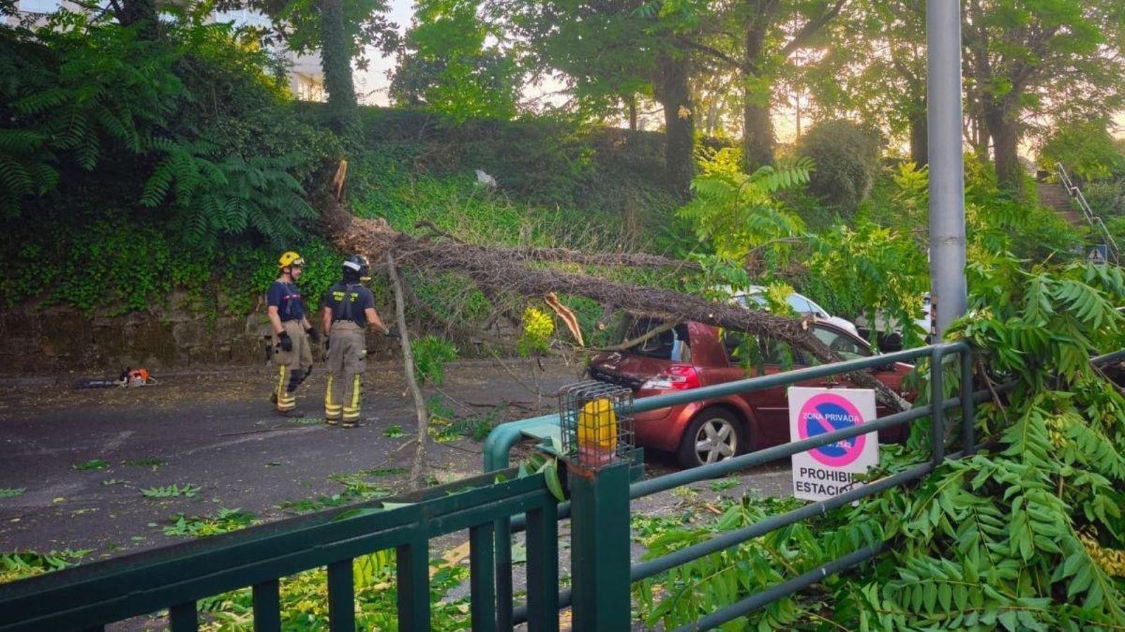 Árbol caído sobre un coche en rúa Díaz de la Banda