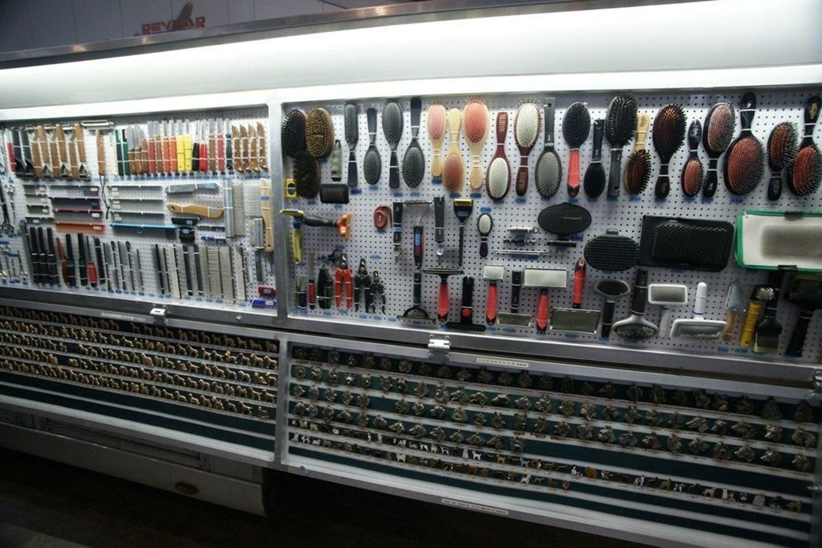 Exposición Canina en el Ifevi Foto Vicente15