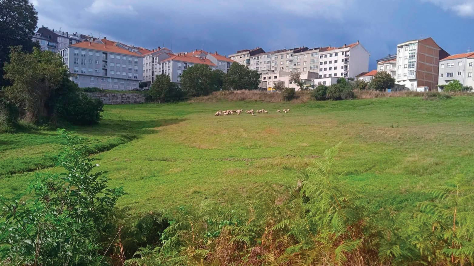 Vista general de la nueva zona verde donde se habilitará el parque y área para autocaravanas.
