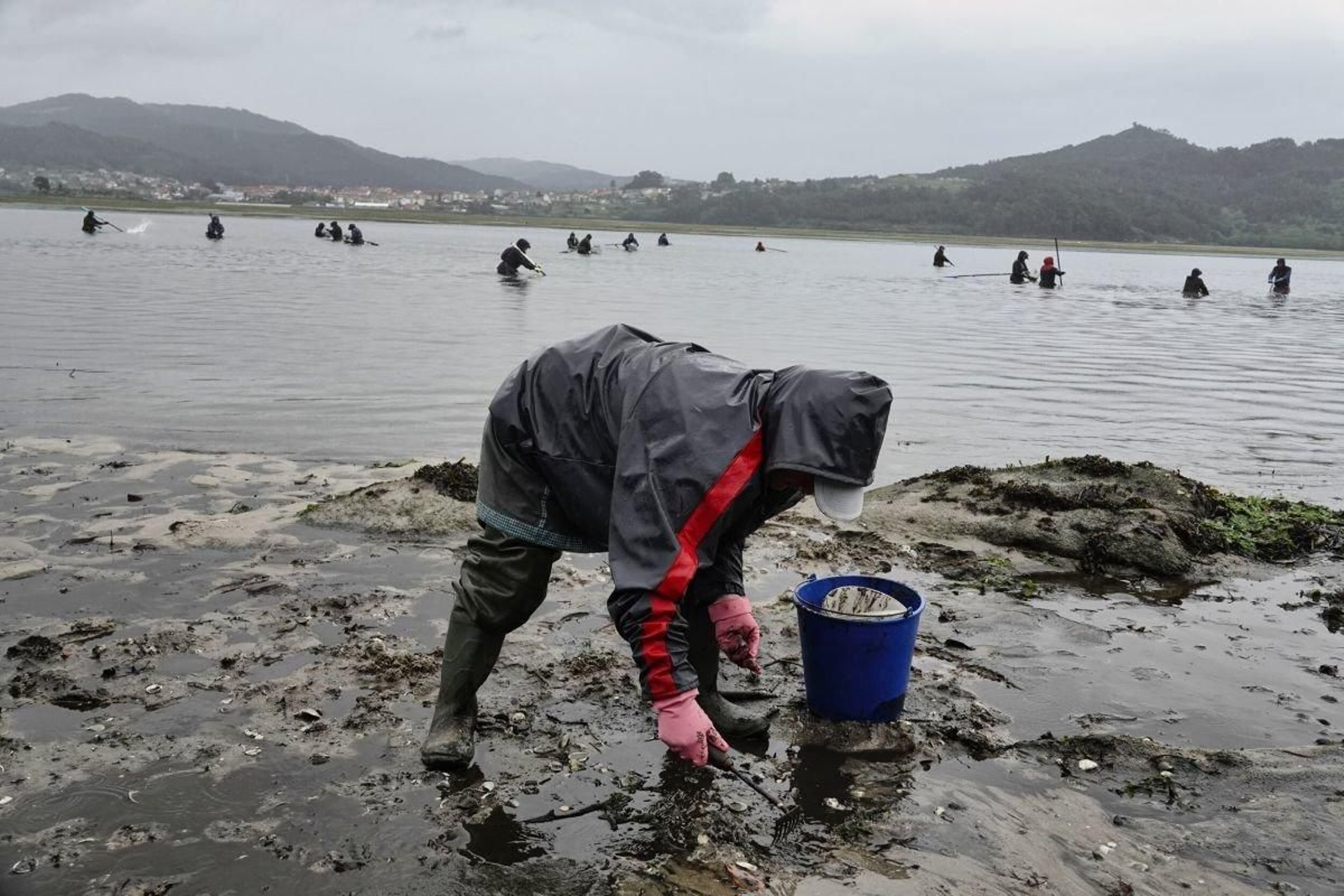 Las mariscadoras ayer en la zona de O Conchido, en el límite con Vilaboa, faenando seis meses después de los temporales.
