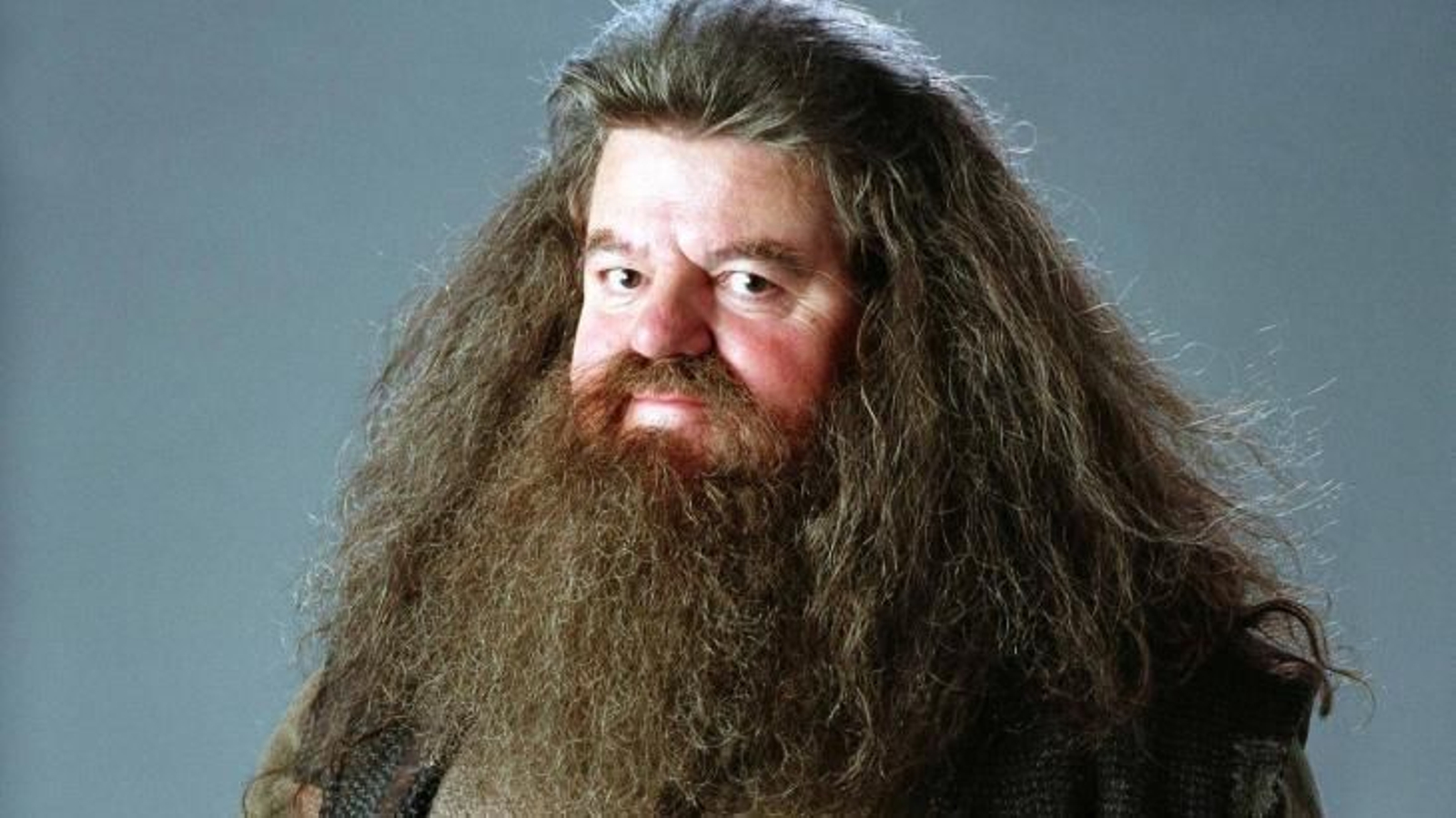 Robbie Coltrane como Hagrid.