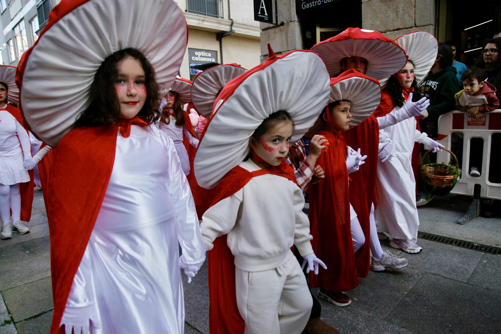 Galería | Celanova reúne 32 comparsas en su Piñata