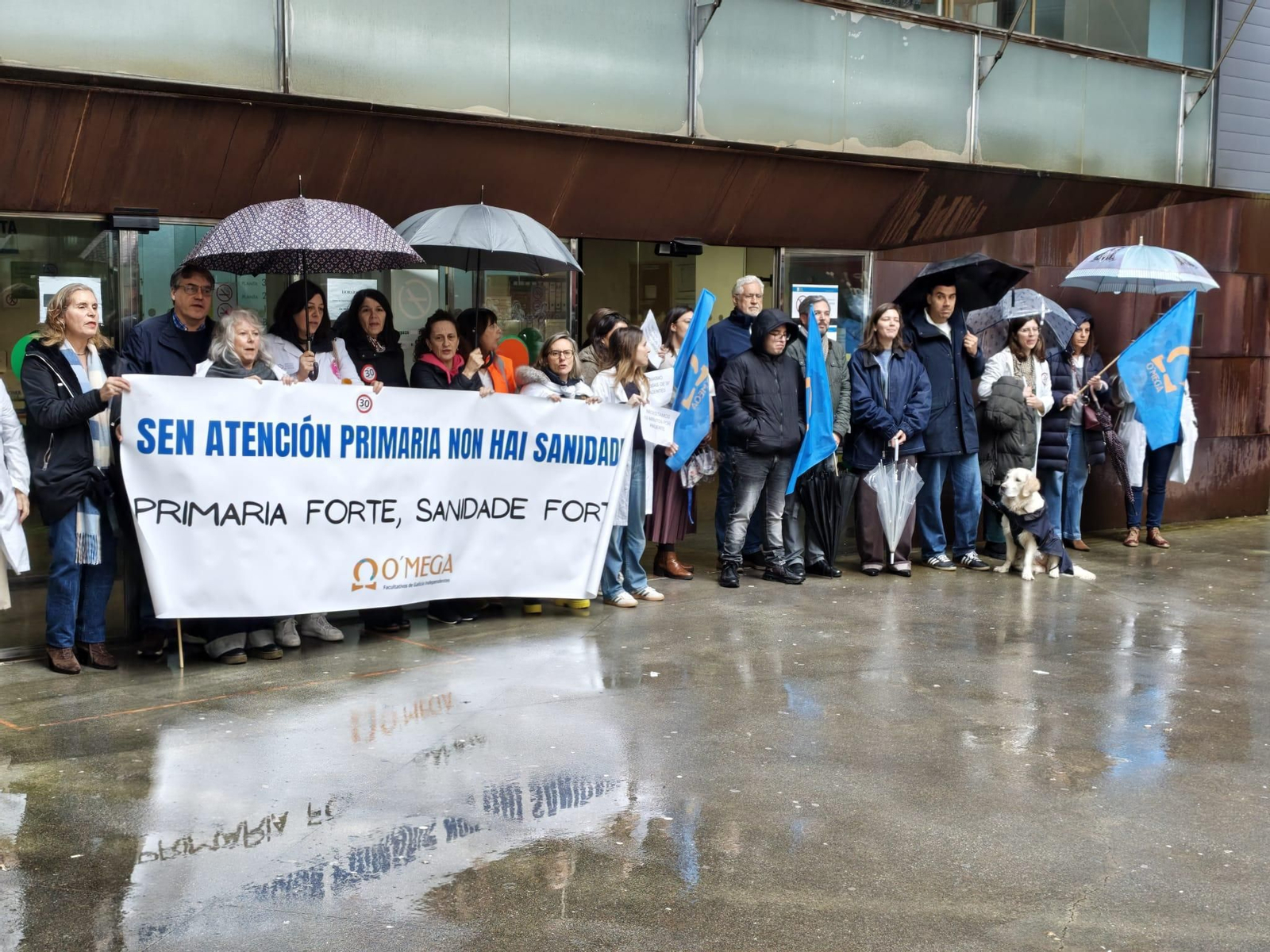 La manifestación celebrada ayer en Vigo.