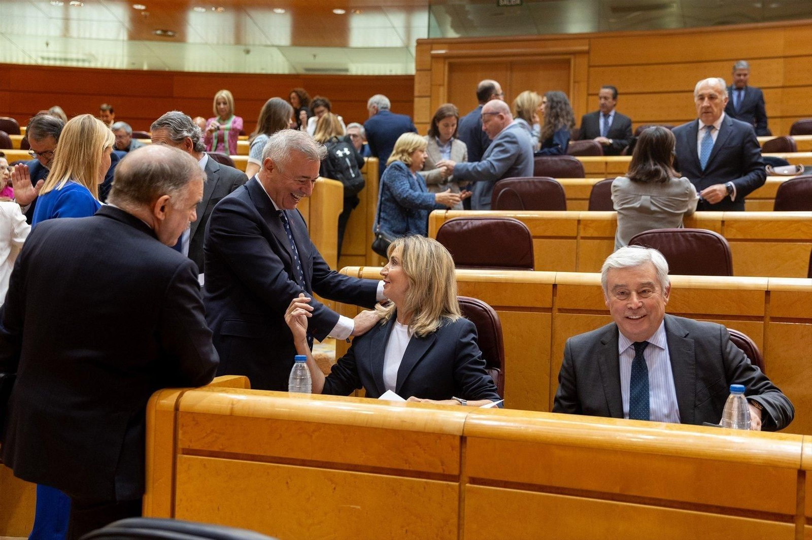 La portavoz del Partido Popular en el Senado, Alicia García Rodríguez, conversa durante una sesión plenaria (Foto: EP).