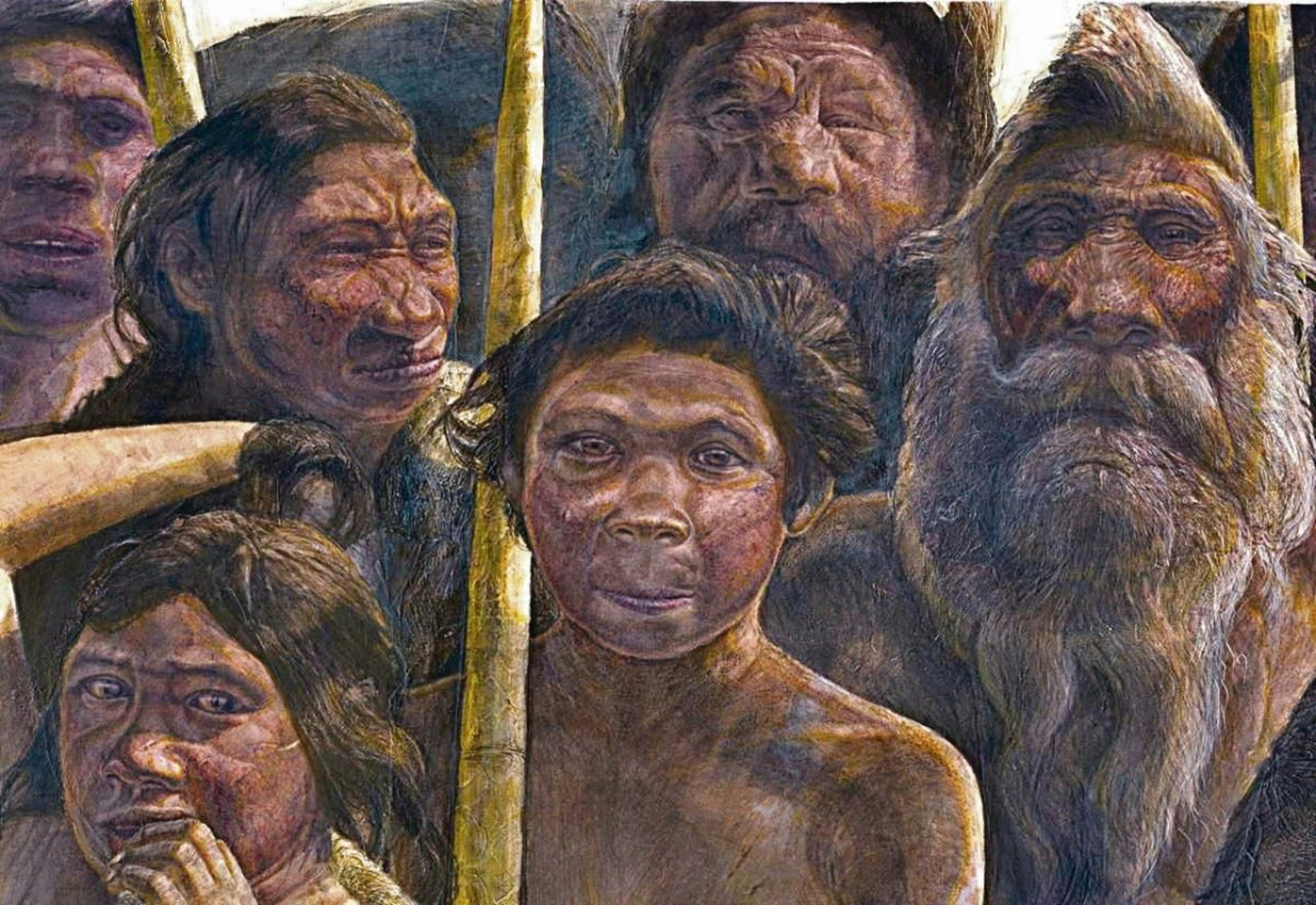 Dibujo del Museo de la Evolución Humana que muestra los homínidos, Homo heidelbergensis, de la Sima de los Huesos, en el yacimiento de Atapuerca.
