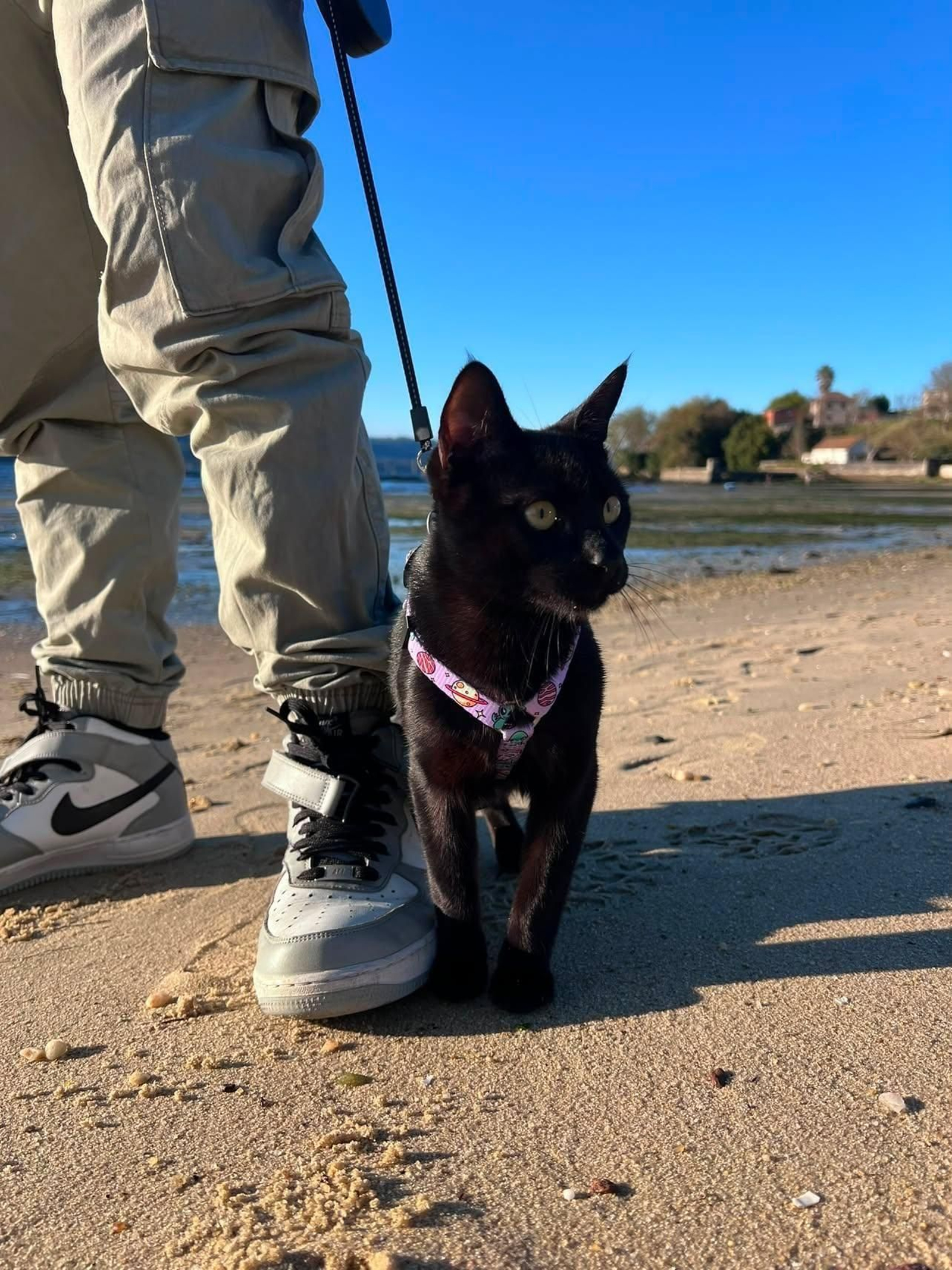 Salem