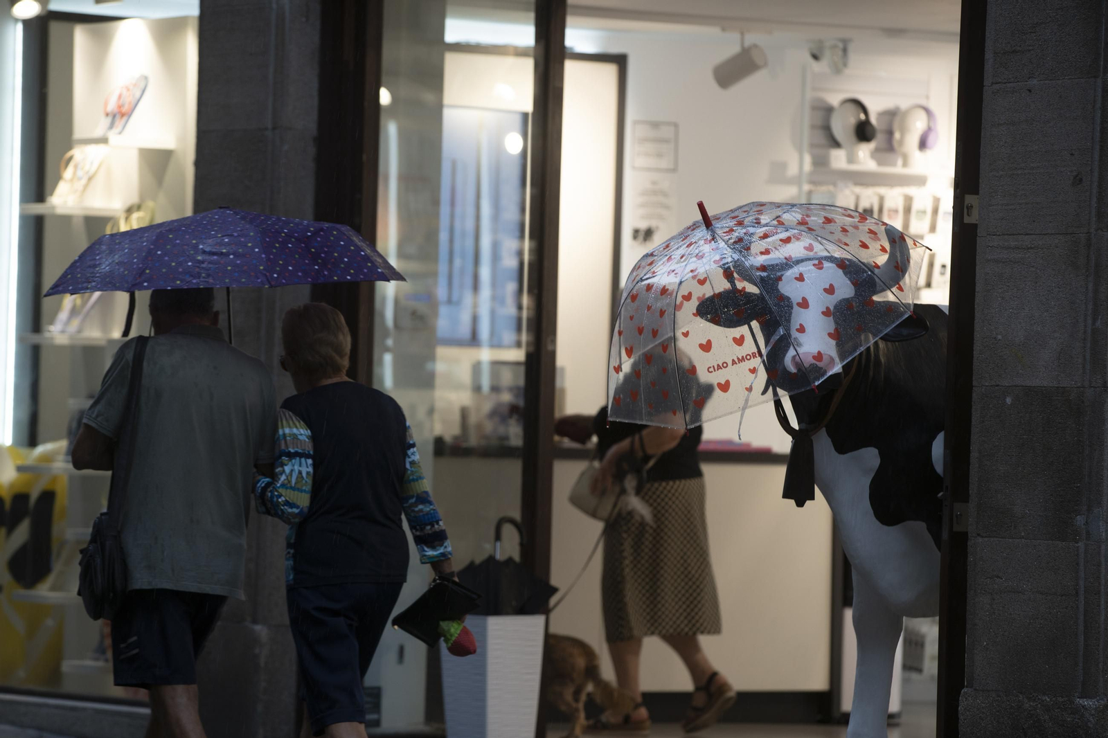 Galería | Una tormenta de verano deja Ourense pasada por agua y desploma los termómetros