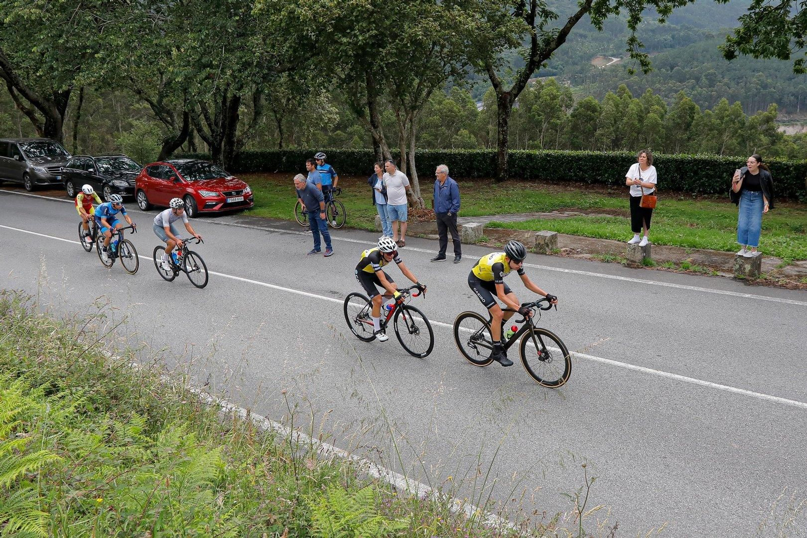 Campeonato gallego de ciclismo, juniors.