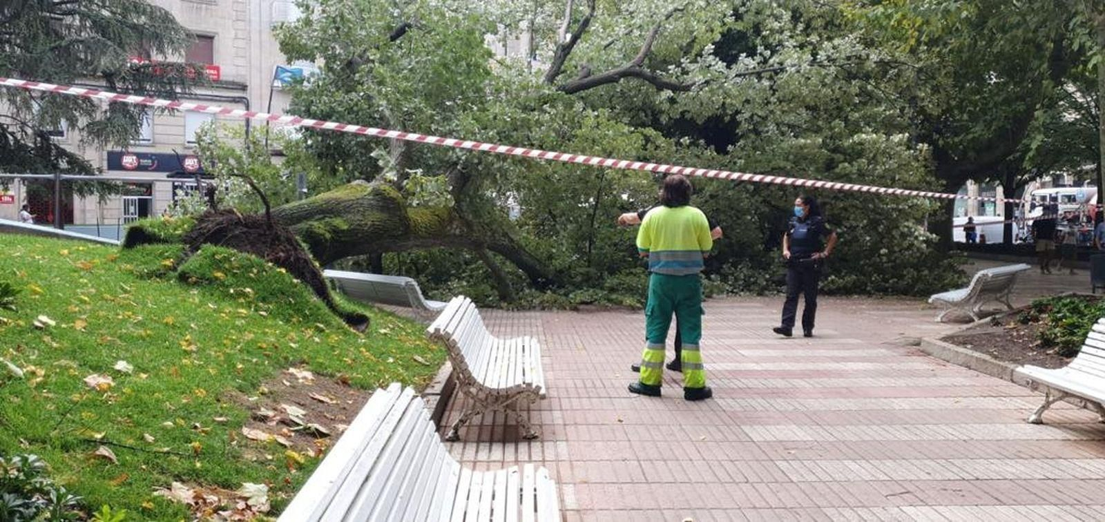 WhatsApp Image 2020-08-13 at 12.45.03 (1)_resultado