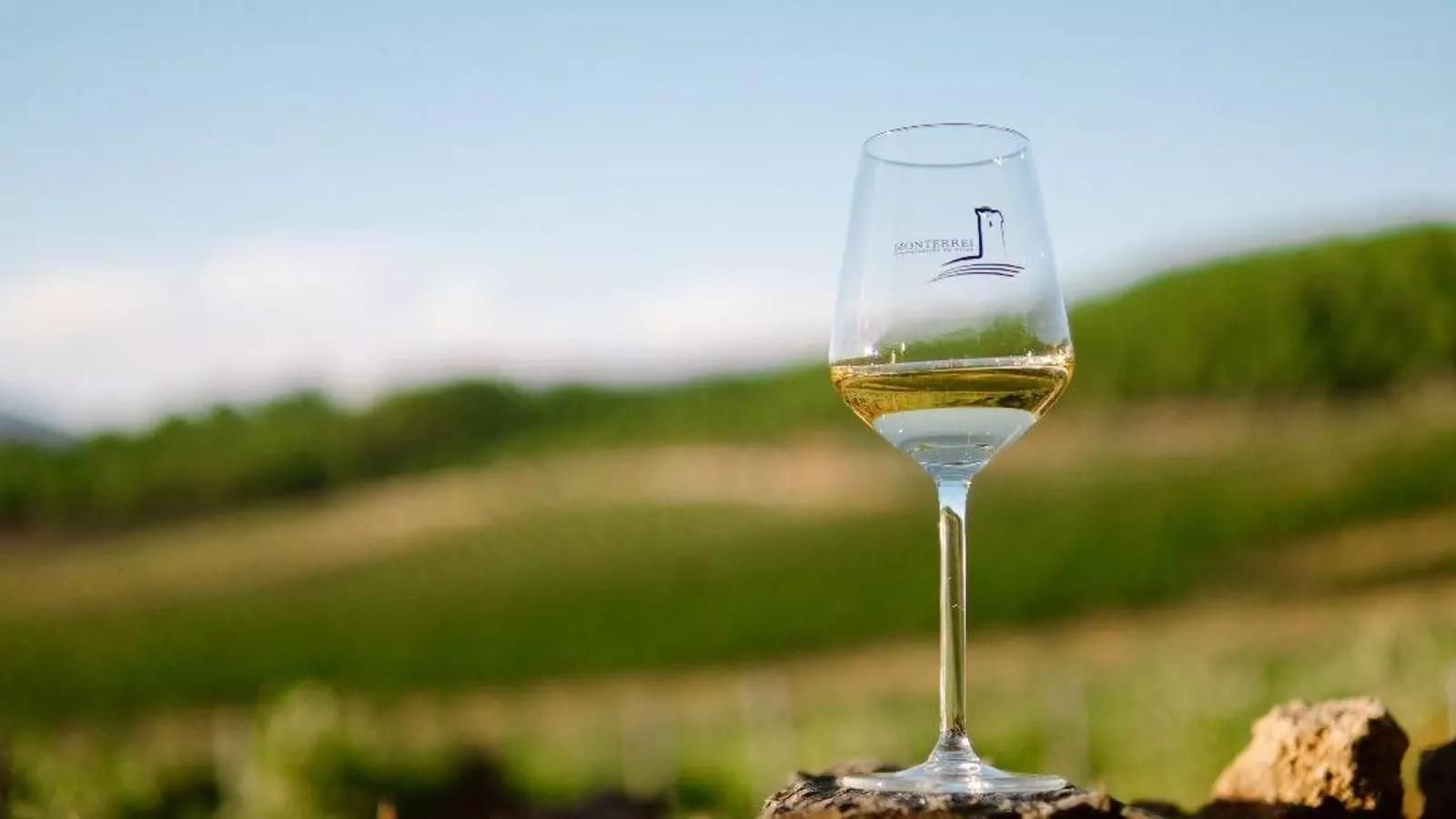 Copa de vino con el logo de la D.O. Monterrei frente a unos viñedos.