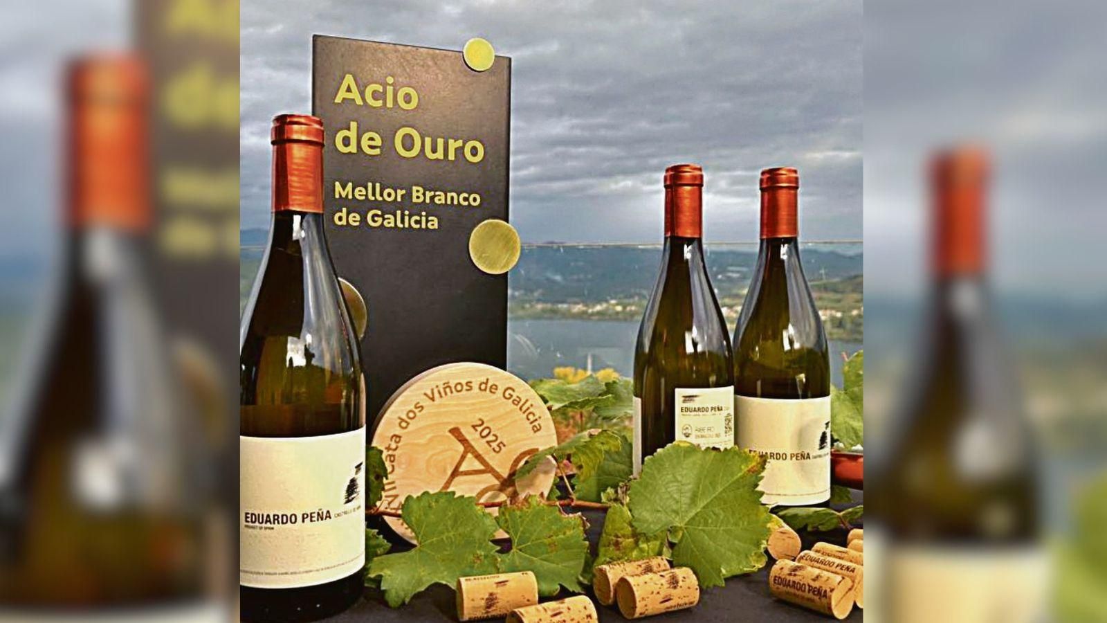 Acio de Ouro ao mellor viño branco nas Catas de Galicia 2025