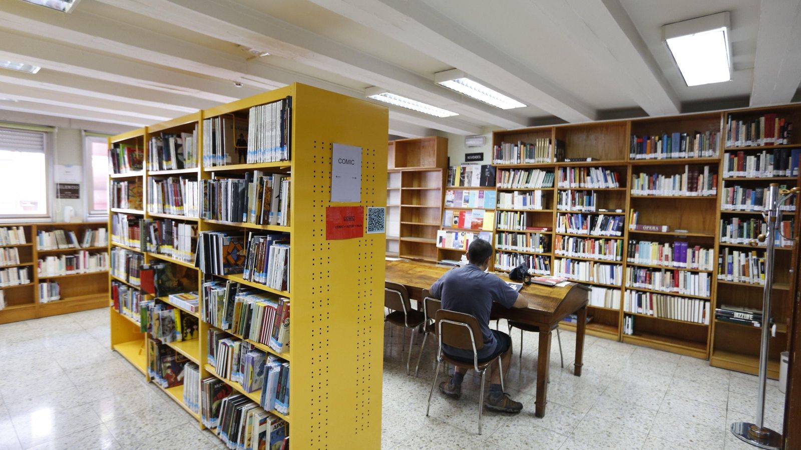 Ourense. 19-08-15. Local. Biblioteca pública. Na foto a sala de cómicsFoto: Xesús Fariñas